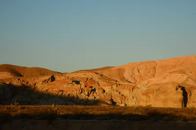 DSC_0287 (Large).JPG